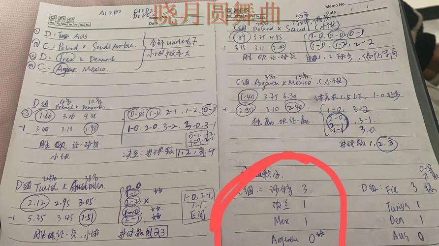 世界杯投注入口高手都在关注哪些细节